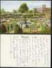 Henry VIII Garden, Hampton Court Palace - 1950 Postcard. Used - Londen - Buitenwijken