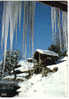 Carte Postale 74 Les Houches - Le Foyer De Charité "La Flatière" - Les Houches