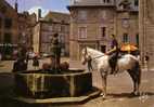 BESSE En CHANDESSE  -  La Fontaine De La Place -  N°  799 - Besse Et Saint Anastaise