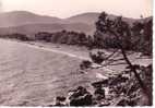 CAVALAIRE SUR MER -   Plage De PARDIGON  -  N° 8187 - Cavalaire-sur-Mer