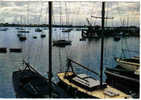 Carte Postale  56. LA TRINITE-SUR-MER  Soir D'été Sur Le Port De Plaisance - La Trinite Sur Mer