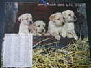 CALENDRIER GRAND FORMAT ALMANACH DES PTT/ ANNEE 1973 CHIOTS ET CHATON NON RIGDE + PHOTOS INTERIEUR COLIBII CHEVAUX - Tamaño Grande : 1971-80