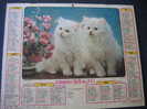 CALENDRIER GRAND FORMAT DOUBLE ALMANACH DES PTT1979 LES MAGNFIQUES CHATS ANGORA/ FLEURS COMPOSITION FLORALE - Groot Formaat: 1971-80