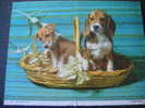 CALENDRIER GRAND FORMAT DOUBLE ALMANACH DES PTT 1982 CHIENS CHIOTS /CHAT CHATON - Tamaño Grande : 1981-90