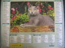 CALENDRIER ALMANACH DU FACTEUR GRAND FORMAT DE 2005 CHATS /CHARTREUX - Groot Formaat: 2001-...