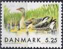 PIA - 1999 - Oiseaux - Oies Sauvages  - (Yv 1223) - Unused Stamps