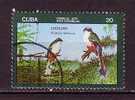 G0633 - CUBA Yv N°1943 OISEAUX BIRDS - Used Stamps