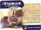 FRANCE TICKET PRIVE NEUF SUPERBES CHATONS 1000 EX RARE - FT Tickets