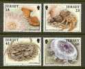 JERSEY 1994 MNH Stamp(s) Marine Life 665-668 #4328 - Sonstige & Ohne Zuordnung