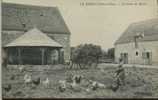 LE PERRAY EN YVELINES La Ferme Du Roseau (agriculture Poules) - Le Perray En Yvelines