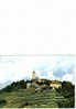 Carte Postale   Allemagne  Neckarzimmern  Burg Hornberg - Hornberg