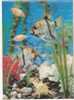 POISSONS D'Aquarium : Scalaire, Gourami ;carte En Relief 3D , 1974 ;TB - Fische Und Schaltiere