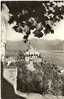 Locarno Basilica-Santuario Madonna Del Sasso - Locarno