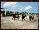 14395 Cagnes Sur Mer Une Course De Trot Attelé Sur L'hippodrome De La Côte D'azur édit.photoguy N°H70 Course De Chevaux - Cagnes-sur-Mer