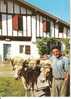 ATTELAGE DEVANT LA FERME - Teams