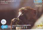 Monkey SINGE AFFE AAP Telecarte (79) - Dschungel