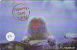 Monkey SINGE AFFE AAP Telecarte (83) - Dschungel