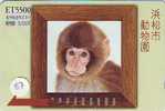 Monkey SINGE AFFE AAP Telecarte (87) - Dschungel