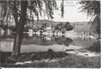 83 - BESSE S/ISSOLE - Reflets Du Lac - Semi Moderne Gd Format - Besse-sur-Issole