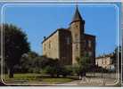 Cpm DARNEY Vosges Hotel De Ville Musée Franco-tchécoslovaque - Darney