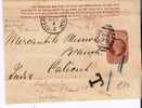 GBV033 / 1890 – Streifband (wrapper) – Nach Indien, Postage Due 2 Anna – Rare! - Lettres & Documents
