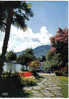 Carte Postale SUISSE Locarno-Lungolago  "Lago Maggiore" édit : IRIS - Locarno