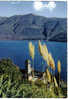 Carte Postale SUISSE -Brissago  "Lago Maggiore"  Lac Majeur  édit : IRIS - Brissago