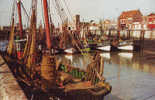 Zeebrugge ? Bateaux De Pêche Visboten - Zeebrugge