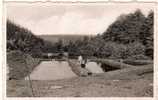 COUVIN    :   PISCICULTURE DU MOULIN DES BOIS : ETANGS DES TRUITELLES - Couvin