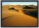 CPM - NAMIBIE - Dunes Of The Namib Desert - Dune Du Desert Namibien - Namibie