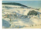 6366 Hohenluftkurort Und Wintersportplatz . 7869 Todtnauberg . 105S - Todtnau