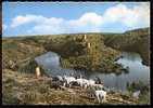 Jolie CP 23 Creuse Crozant Les Ruines Du Château - Animée Enfant Troupeau De Moutons - Neuve Ed CAP 1563 - Crozant