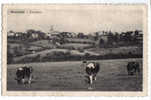 4898 - Manderfeld - Panorama - Büllingen