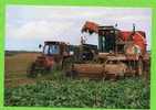 EN BEAUCE 1990 ARRACHAGE DES BETTERAVES GRUE POCLAIN CLICHE LAURENT CARTE EN SUPERBE ETAT - Cultivation