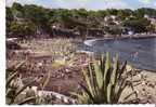 LA  SEYNE  SUR  MER - La Plage De Fabrégas - N° 56 - La Seyne-sur-Mer