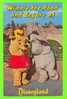 DISNEY - WINNIE THE POOH AND EEYORE - FANTASYLAND - - Disneyland