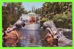 DISNEY - JUNGLE CRUISE - - Disneyland