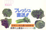 Japon : EP Echocard Legume Vert Chou Salade Celeri Celery Cabbage Green Vegetable Food Nourriture - Légumes