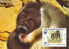 Cameroun : CM Carte Maximum Singe Primate Papio Leucophaeus Drill Mandrill Animal Danger WWF - Singes