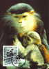 Vietnam : CM Carte Maximum Singe Primate Hylobates Concolor Gibbon Noir Asie Danger WWF - Monkeys
