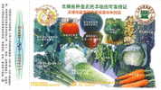 Chine : EP Entier Pub Tombola Chou Fleur Legume Vegetable Tomate Piment Carotte Patate Poivron Pasteque Celeri Food - Vegetables