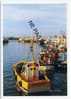 2595 - Chalutiers Au Port - Premier Plan : Le "REVE DU MOUSSE" - Fishing Boats