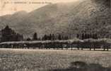 64 ST CHRISTAU Promenade Des Platanes, Ed CC 3, 1909 - Oloron Sainte Marie