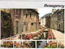 Carte Postale 45 De Beaugency - La Rivière Fleurie - Beaugency