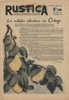 Rustica 16e Année N°45 - 7 Novembre 1943 - L´utilisation Des Coings - Giardinaggio