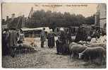 CPA 18 Scenes Du BERRY - Une Foire  (Moutons) - Ferias