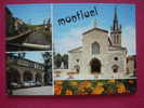 01 MONTLUEL VUES DIVERSES - Montluel