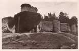 79 BRESSUIRE Les Remparts Du Vieux Château (XIé Siécle) - Bressuire