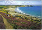 Carte Postale   29.  Camaret  Promenade Sur Les Falaises Du Veryac'h - Camaret-sur-Mer