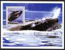 GUINEE 2002, ORQUES ET BALEINES, 1 Bloc, Neuf / Mint. R1248 - Baleines